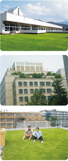 屋上緑化工法 イメージ